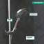 Raindance S Powder Rain Handheld Shower Head with Select-276621315-315893014