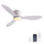 Ventilateur de plafond à DEL à profil bas Jamarreon-2051639388-2035767989