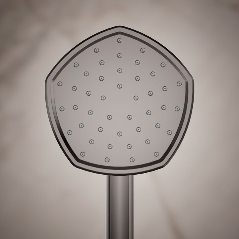 Occasion Single-Function 2.5 Gpm Handshower, Vibrant Titanium