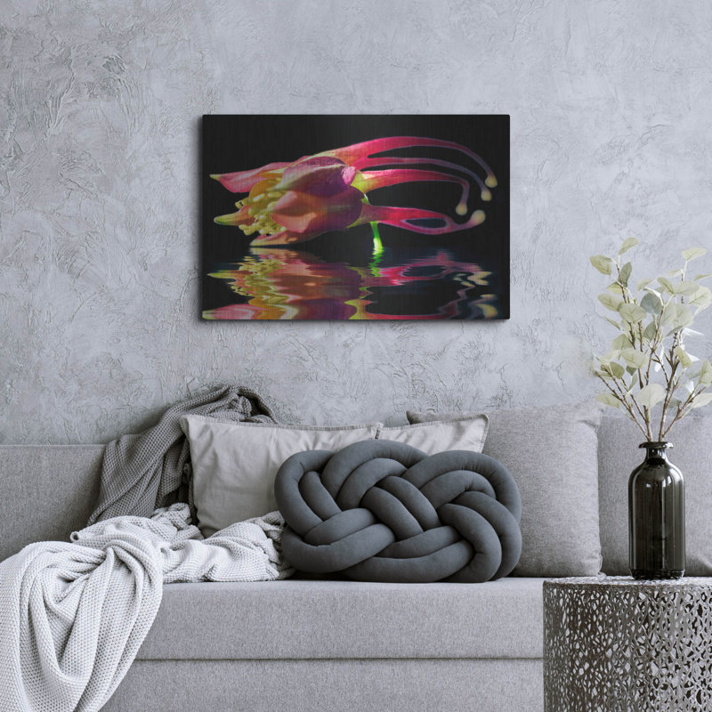 «Columbine Reflection» par Pamela Plummer, H 12 po x l 16 po
