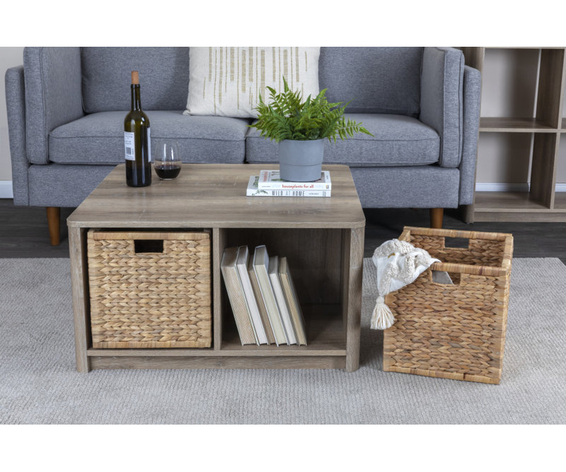 Latitude Run® Tashani Floor Shelf Coffee Table with Storage - Wayfair ...