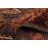 Wigley Brown Rug 3'3" x 6'0"