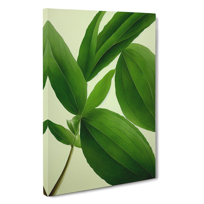Plant Leaves No.2 - Wrapped Canvas, 50cm H x 35cm W x 3cm D