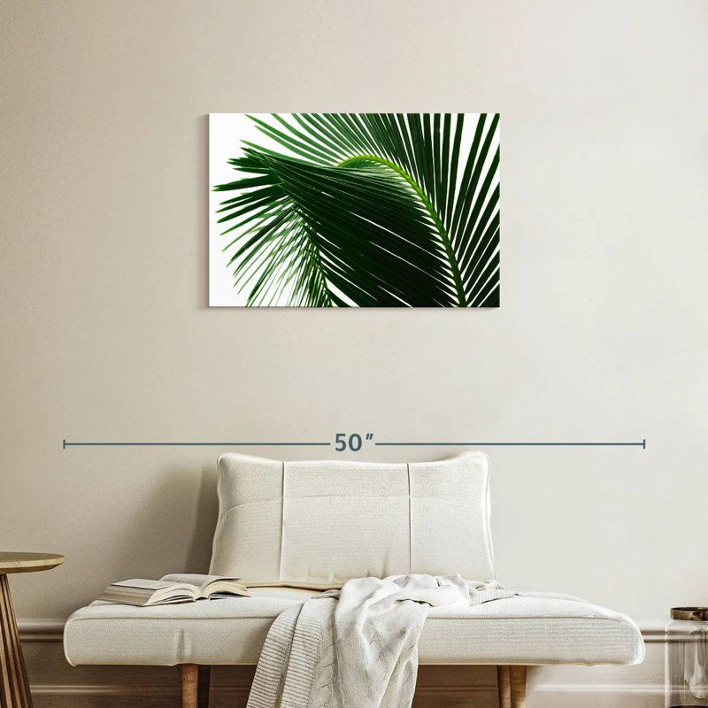 Feuilles de palmier Harnek, H 20 po x l 30 po