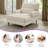 Jazier Upholstered Chaise Lounge with Adjustable Backrest-891025006