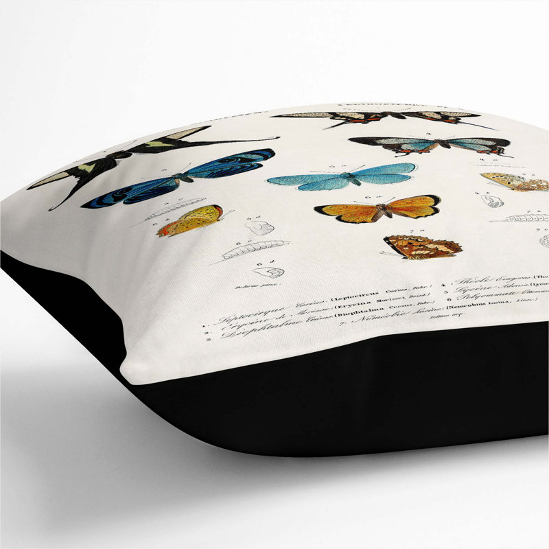 Square Throw Cushion, Black, 40cm H x 40cm W x 15cm D