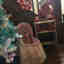 Customer photo 3 of 3