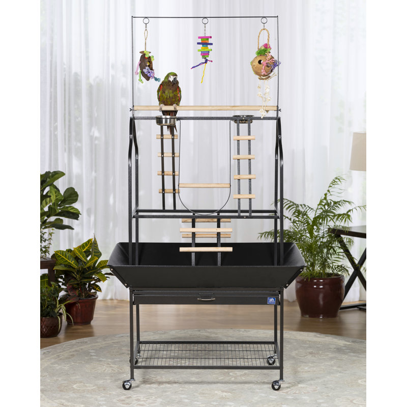 Heyward 57'' Metal Bird Play Gym for Floor