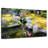 Crowle Pond Koi Fish