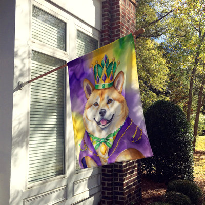 Double Sided 40'' H x 28'' W Polyester Mardi Gras House Flag