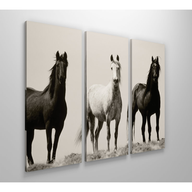 Wild Stallions - Impression sur toile tendue, H 24 po x l 36 po x P 1,5 po