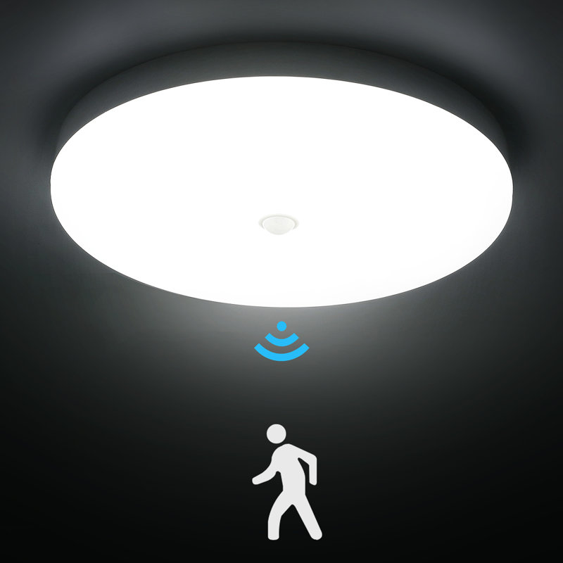 Danyia Silver LED Outdoor Flush Mount