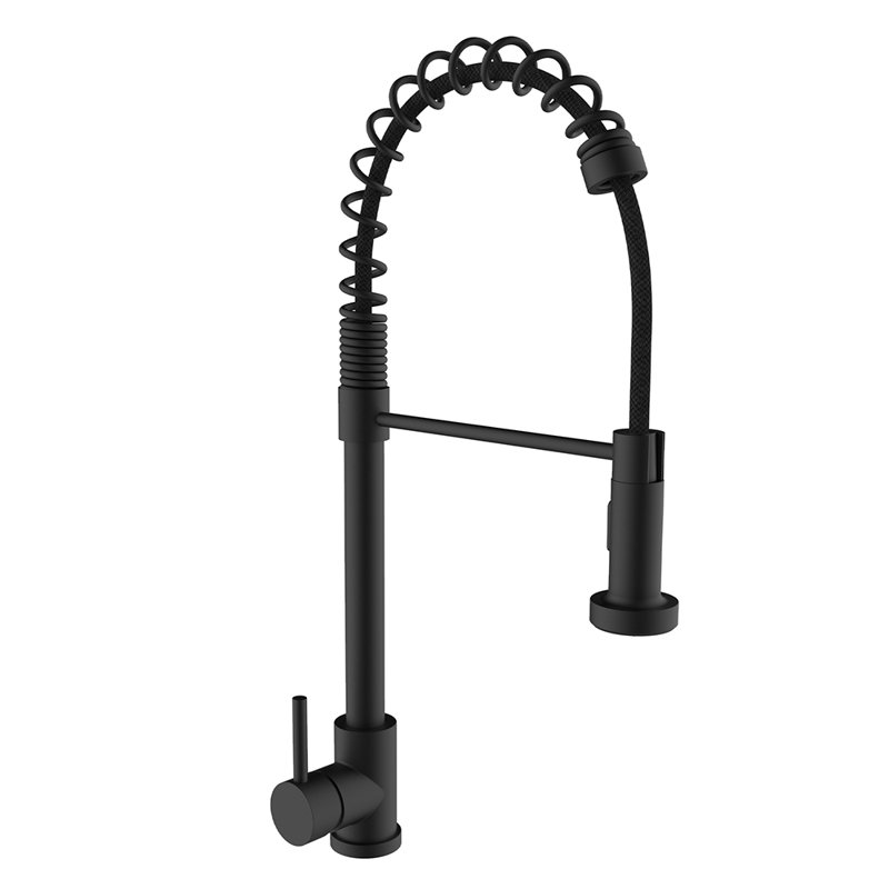 LITTLE TREE Pull Out Kitchen Faucet