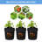 Temika Chemical Fiber Grow Bags with Window-89588857-89588855