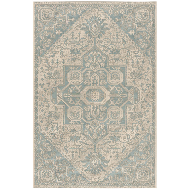Danya Aqua/Cream Indoor/Outdoor Area Rug