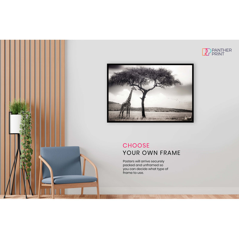 Safari Wildlife Giraffe And Playful Lion - No Frame Print, 20cm H x 31cm W