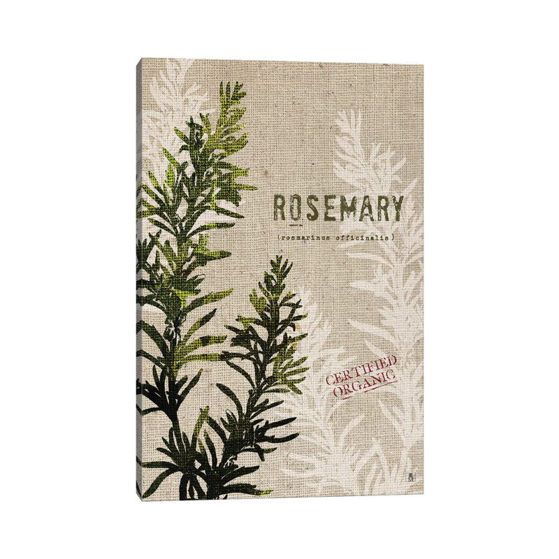 Organic Rosemary, No Butterfly by Studio Mousseau - Wrapped Canvas Gallery-Wrapped Canvas Giclée, 30.48cm H x 20.32cm W
