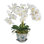 ORCHID IN ACACHE POT