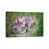 Wrapped Canvas