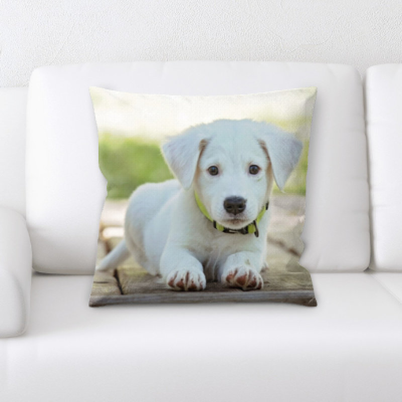 Housse et insert de coussin carré Aiden