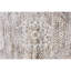 Riviera Oriental Area Rug-62046604