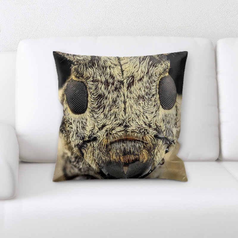 Coussin décoratif en chêne