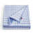 Modern Check Blue