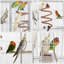 175.5cm Iron Flat Top Floor Bird Cage with Wheels