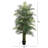 Plant-1804550599