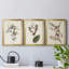 Pl. «160 Carolina Titmouse», ensemble de 3 impressions sur toile encadrées-1895717704-1895717711