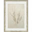 Chuchotement des herbes III