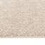 Modern Shaggy Rug Soft Fluffy Beige Carpet Non Slip Large Small Area Rug For Living Room Bedroom Hallway Floor Mat-2096295619