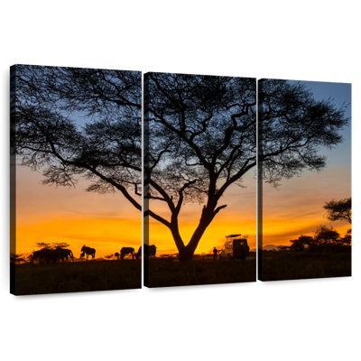 Alvord Sunset Safari