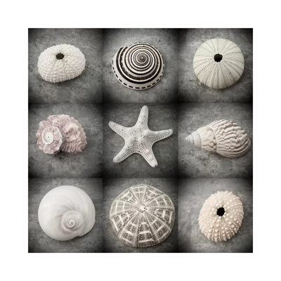 Dark Beauties by Judy Stalus - Wrapped Canvas Print