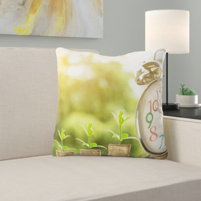 Coussin monétaire