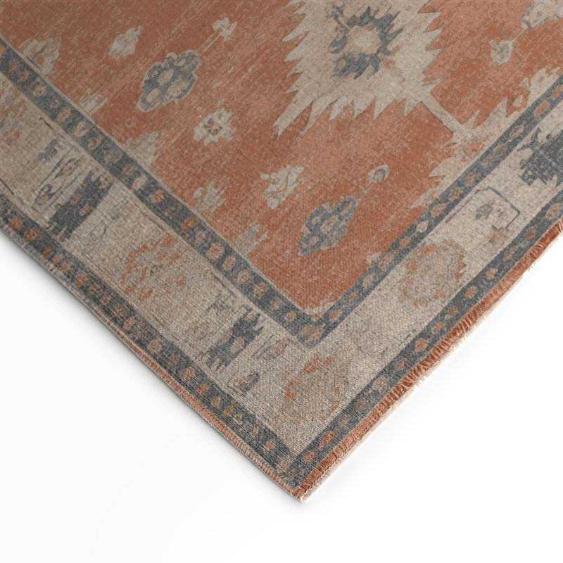 Tapis intérieur et extérieur brun Overdyed