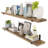 Treston 2 Piece Paulownia Bracket Shelf