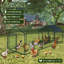 Chicken Coop