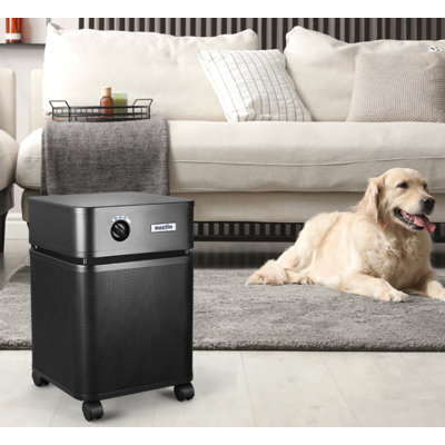 Purificateur d'air Austin Air Healthmate