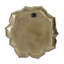 Plaque murale succulente D10x1,4 "