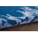 Lavonne Abstract Indoor Rug