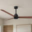 Alessandra Outdoor Downrod Ceiling Fan-1465004011-1465003998