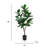 Artificial Magnolia Leaf Tree in Pot-1655392150