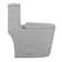 Dreux One Piece Elongated Dual Flush Toilet with 0.95/1.26 GPF