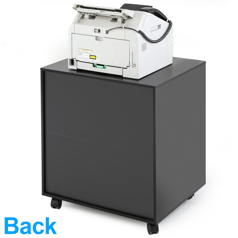 Allaraji 24'' Wide Storage Cabinet, Black