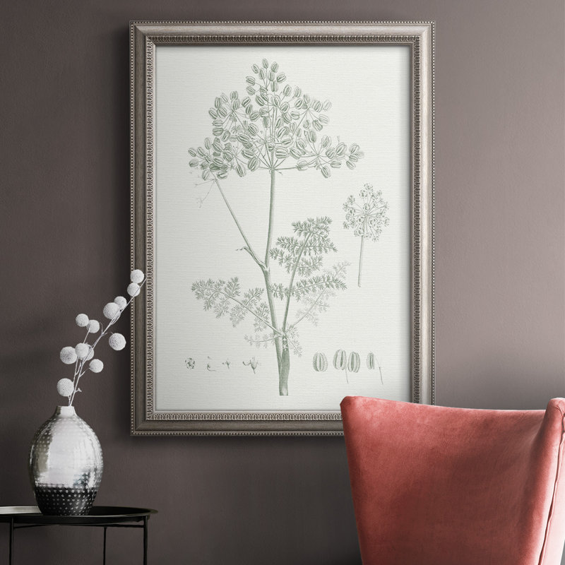 «Botanical Study in Sage VI», reproduction d'art sur toile, H 20 po x l 16 po x P 2,5 po