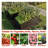 2-Pack Metal Raised Garden Beds Planter Boxes