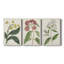 Antique Botanical Collection X - Toile tendue avec châssis sur mesure - 3 pièces-1983292345