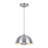 1 - Light Aluminum Single Pendant