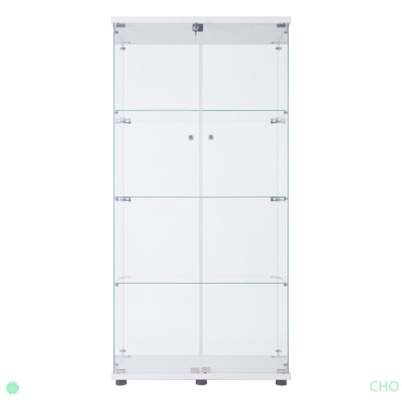 Armoire vitrée à 2 portes avec 4 lumières DEL, Blanc
